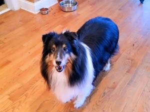 last happy Noel picture