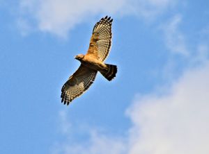 empty nest God autism and me devotional