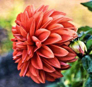 beleive 2 God, autism and me 6-15 devotional