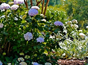 senior year God autism and me 2 6-2016